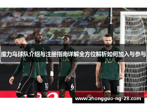 魔力鸟球队介绍与注册指南详解全方位解析如何加入与参与
