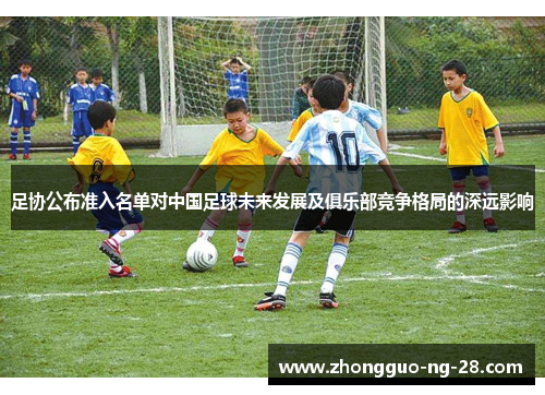 足协公布准入名单对中国足球未来发展及俱乐部竞争格局的深远影响