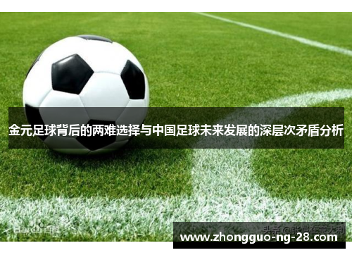 金元足球背后的两难选择与中国足球未来发展的深层次矛盾分析