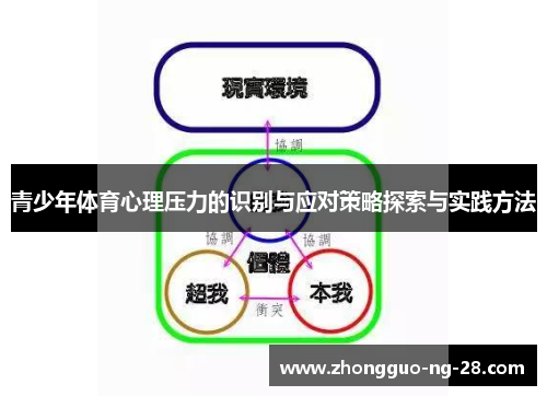 青少年体育心理压力的识别与应对策略探索与实践方法