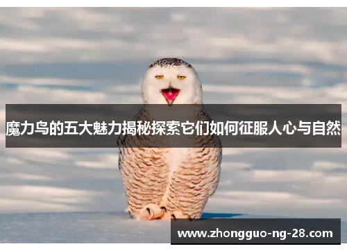 魔力鸟的五大魅力揭秘探索它们如何征服人心与自然