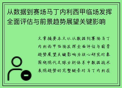 从数据到赛场马丁内利西甲临场发挥全面评估与前景趋势展望关键影响